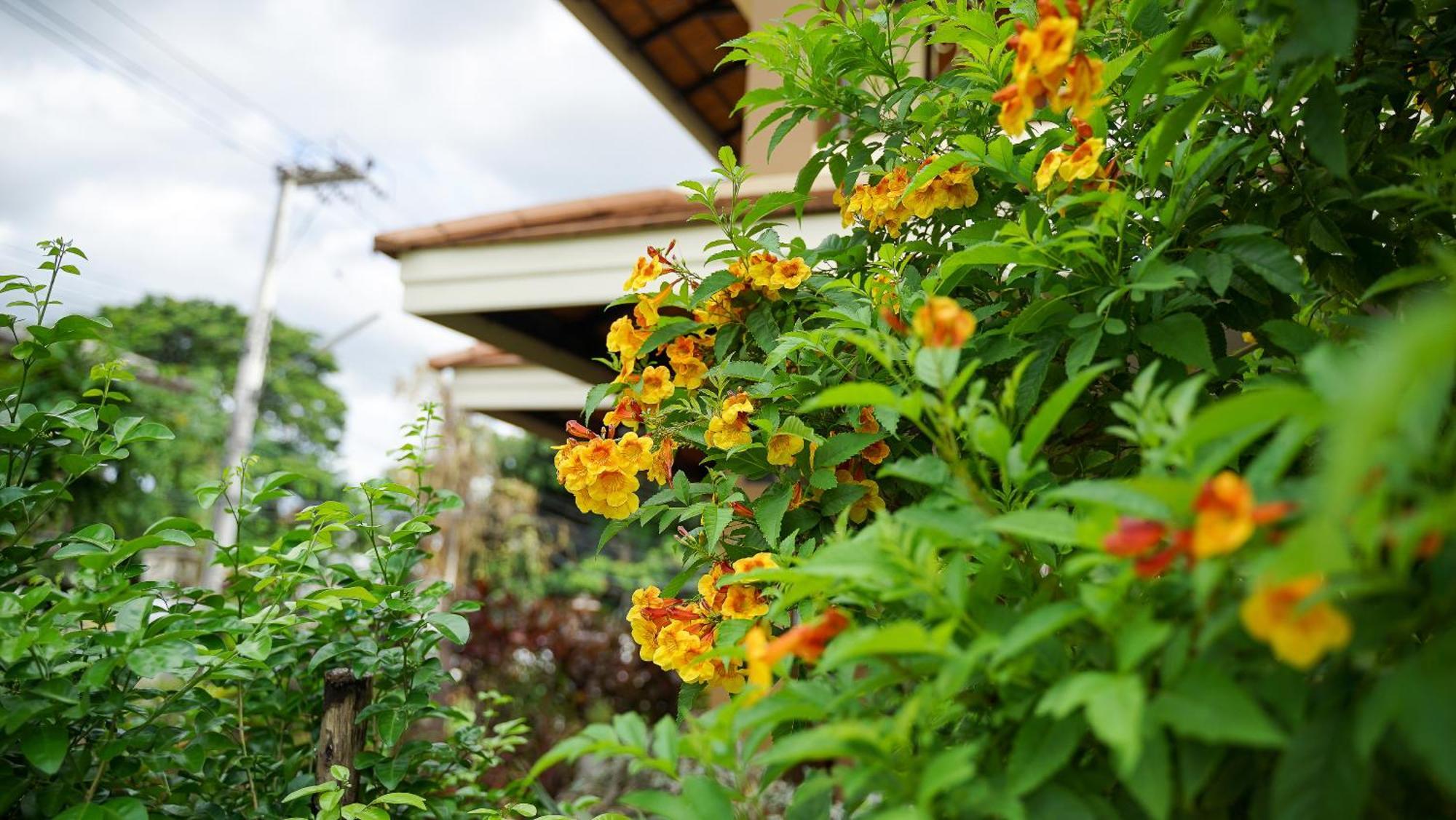 Laph Kham House Lejlighedshotel Chiang Mai Eksteriør billede